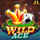 Wild Ace Slot Game at Prohibited